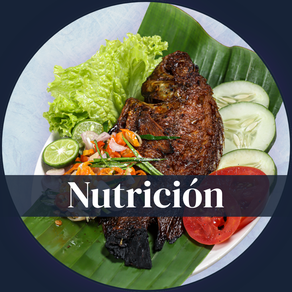 nutrición